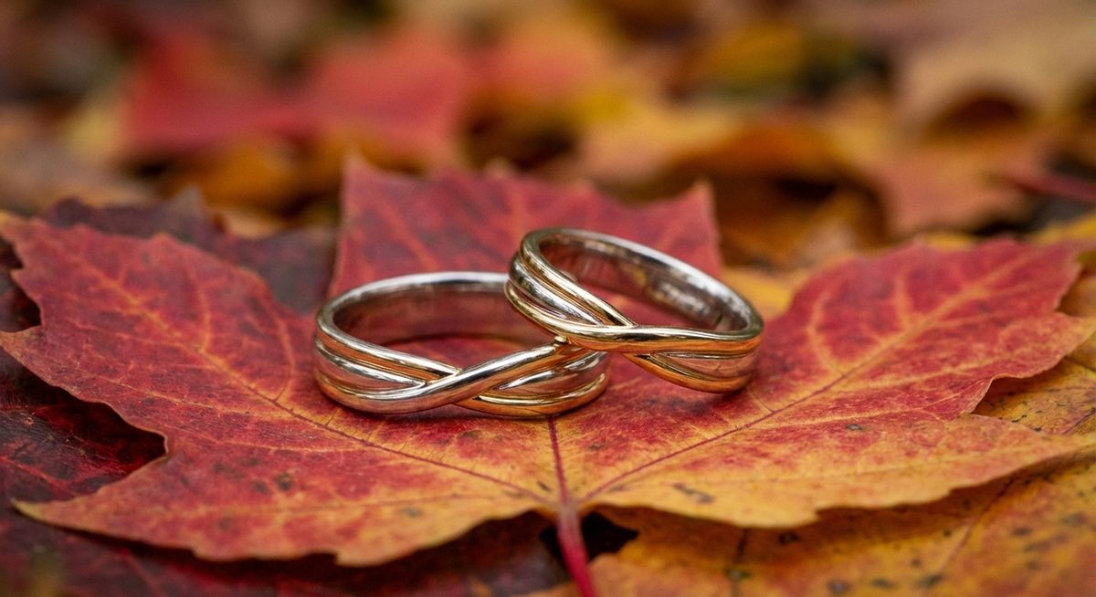 Matching wedding bands in gold and platinum on autumn maple leaf